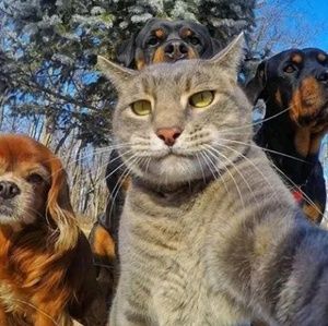 Meet your Posher, Kyle